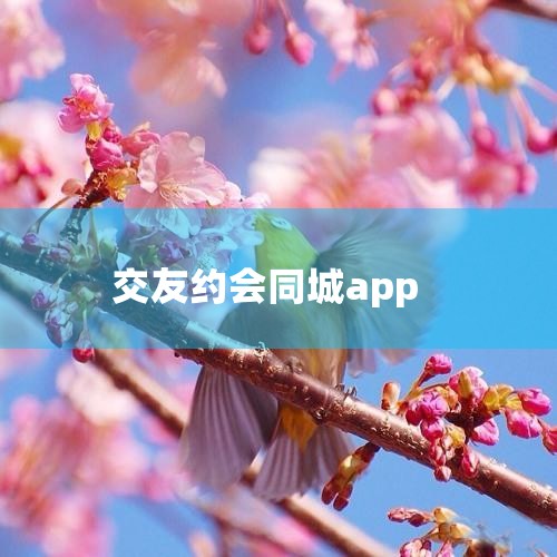 appͬѵĽѵͬǽapp罻ͬŷappѿƵ罻ͬ罻ȽϿŲշ罻...